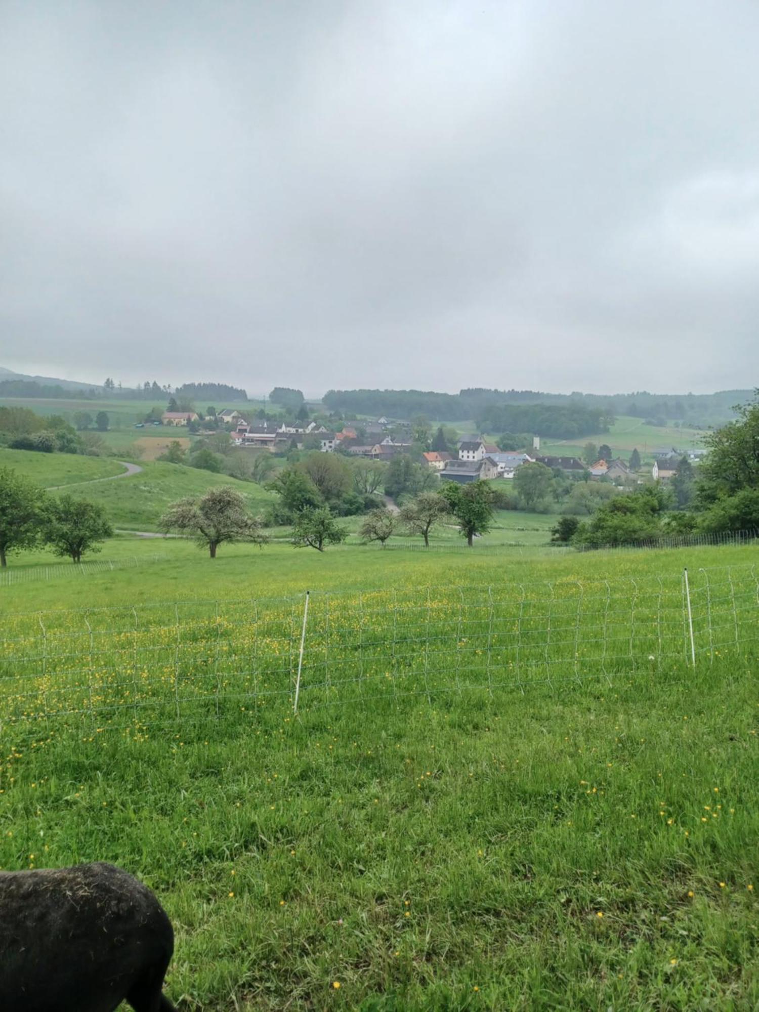 Appartamento Wollwerkstatt Vulkaneifel Borler Esterno foto